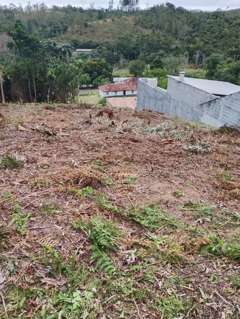 Vendo terreno 1000m2 ótima localização. - Foto 4