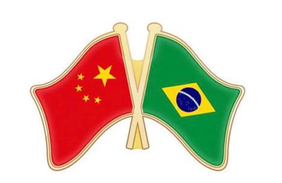 Tradutor português chinês (Intérprete)