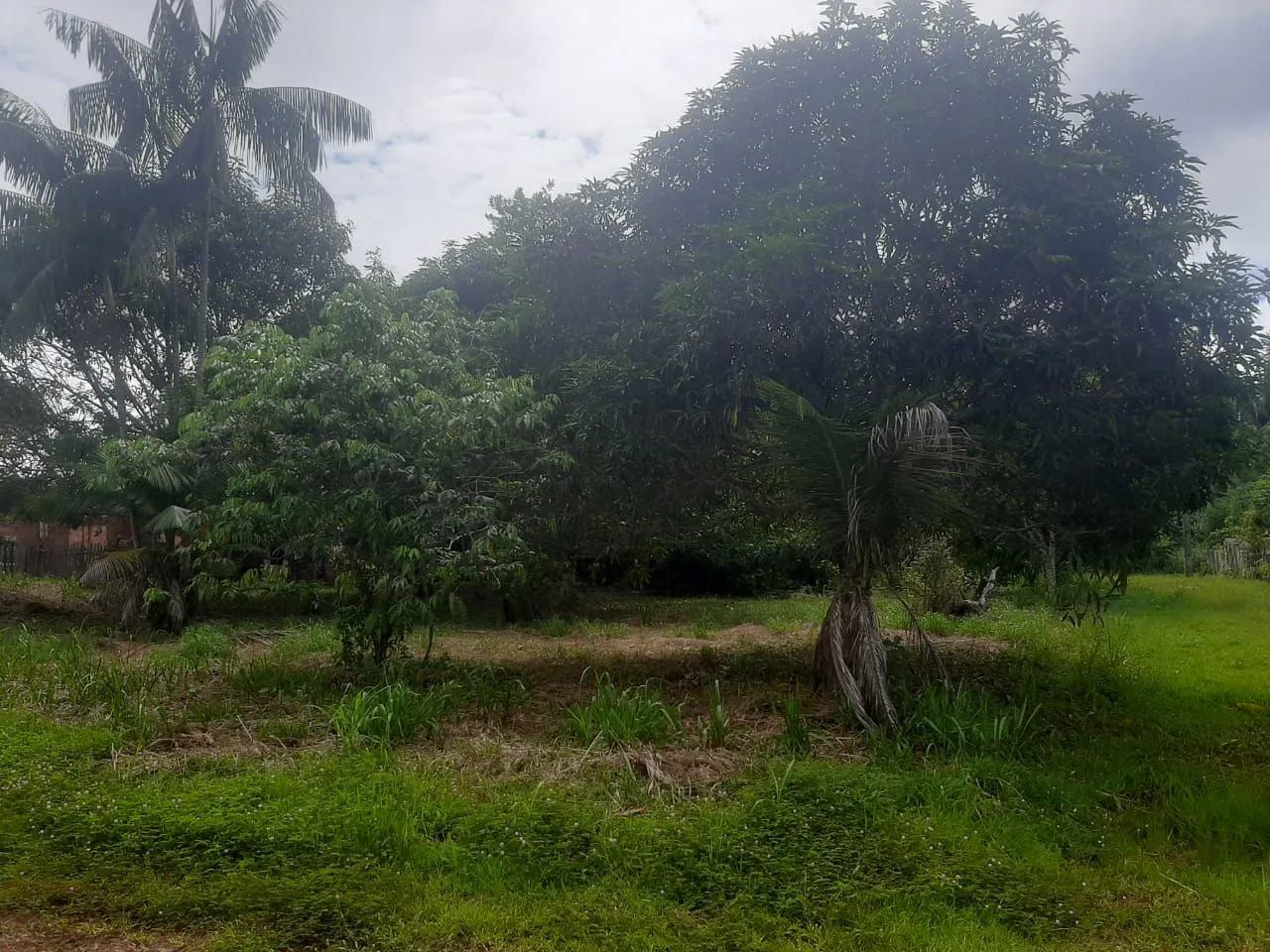 Vendo ou troco 3 terrenos  - Foto 2