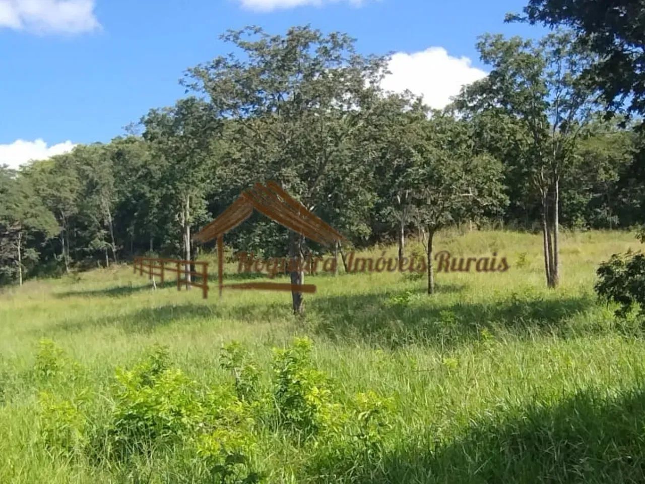 Fazenda com 117 alqueires em Cassilândia-MS - Foto 2