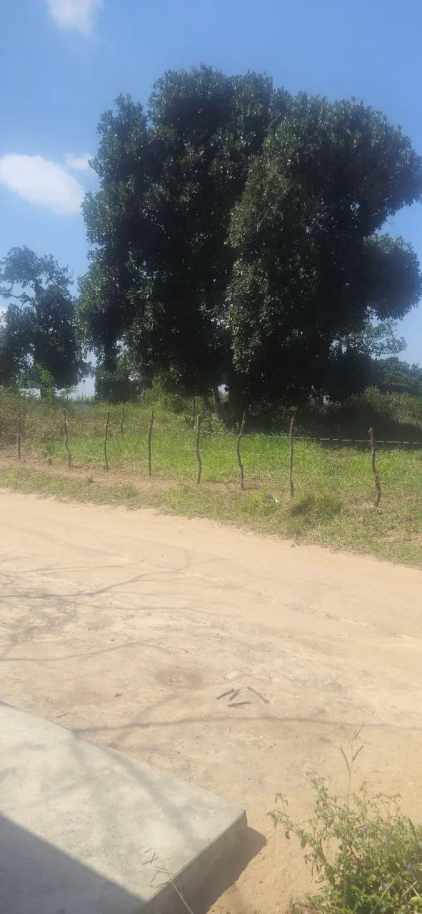 Terreno 12 x 25 