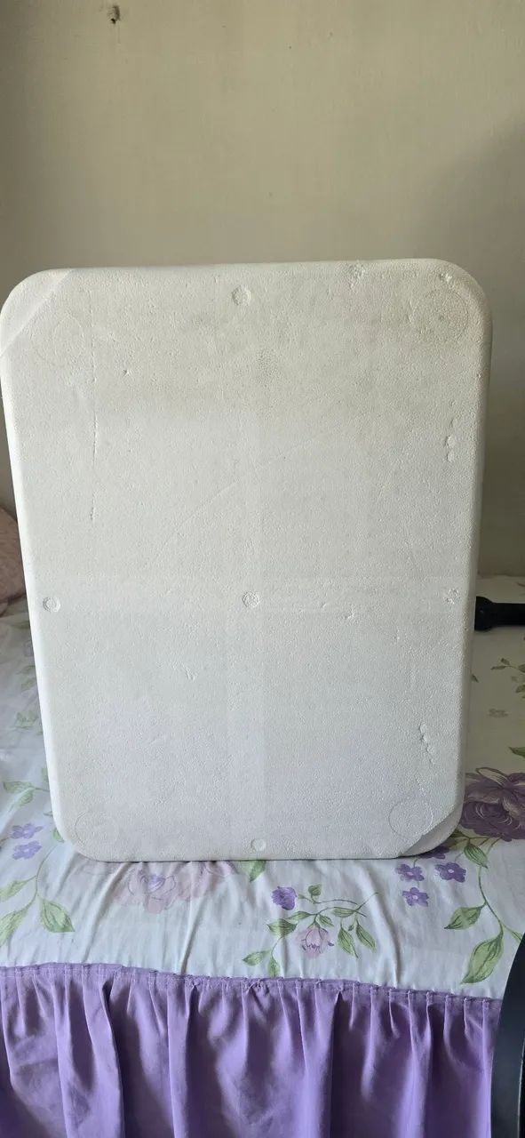 Isopor 100L - Foto 3