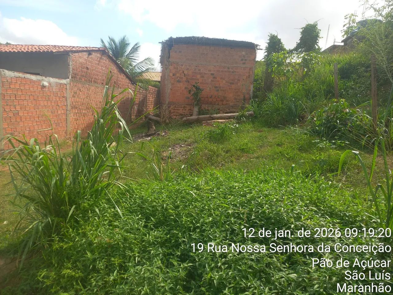 Vendo este terreno  