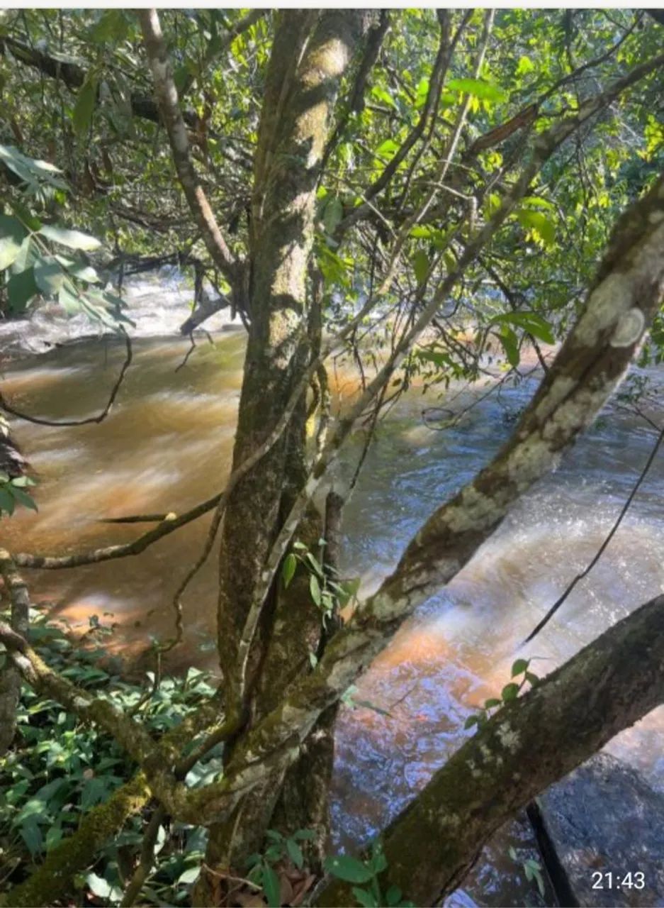 Vendo chácara de 4.000m em Hidrolândia  - Foto 2