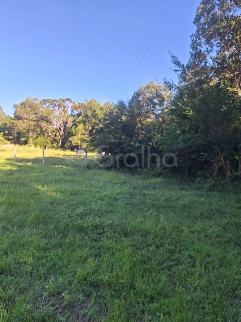 Terreno para Venda em Florianópolis, Ingleses do Rio Vermelho