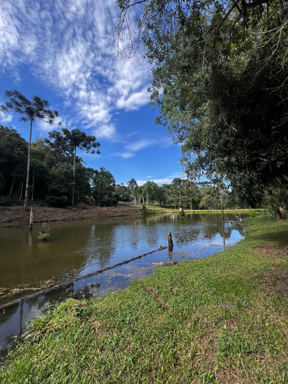 Linda chácara em Rio negrinho - Foto 3