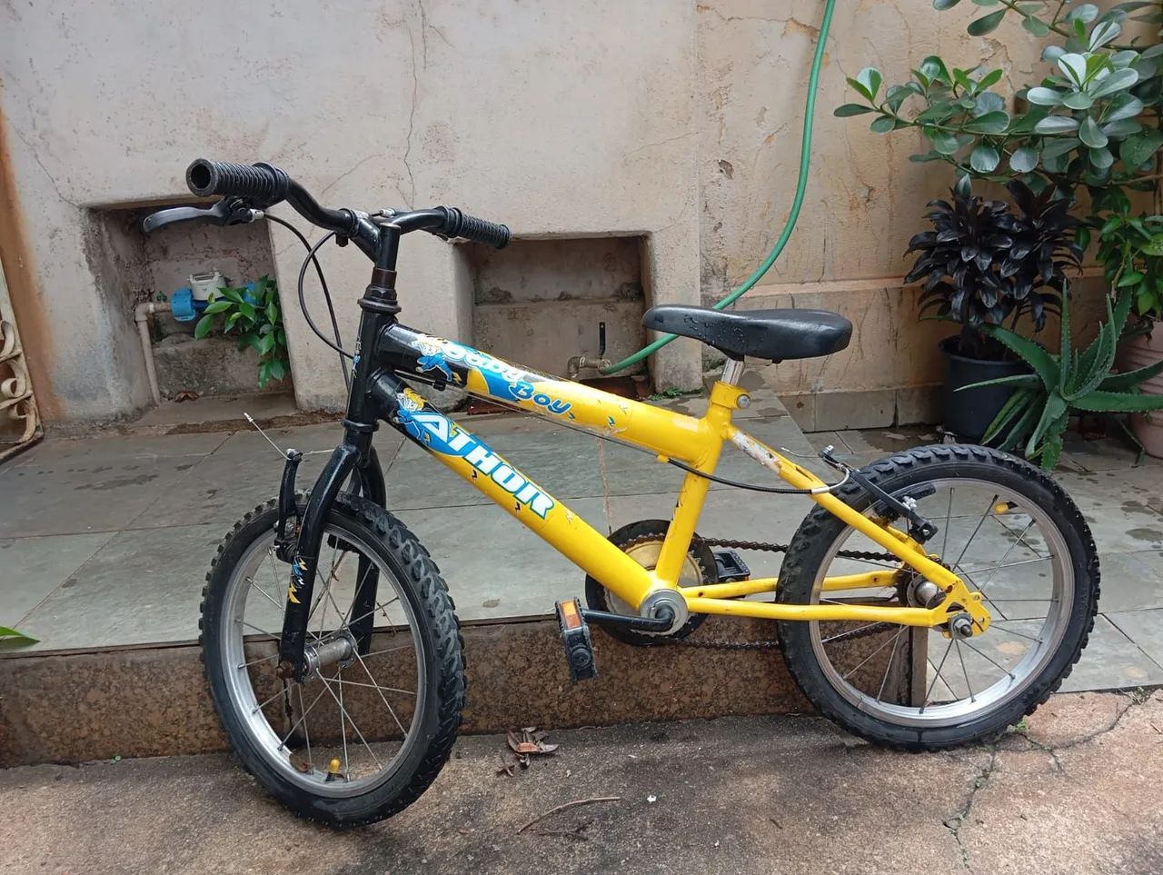 Bicicleta 