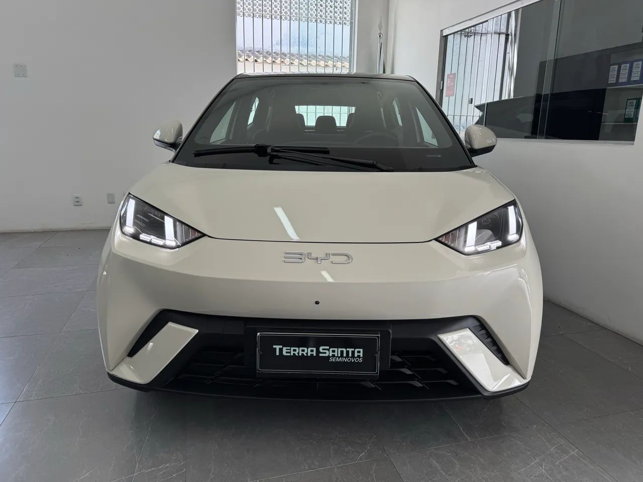 BYD Dolphin Mini (Elétrico) 2027