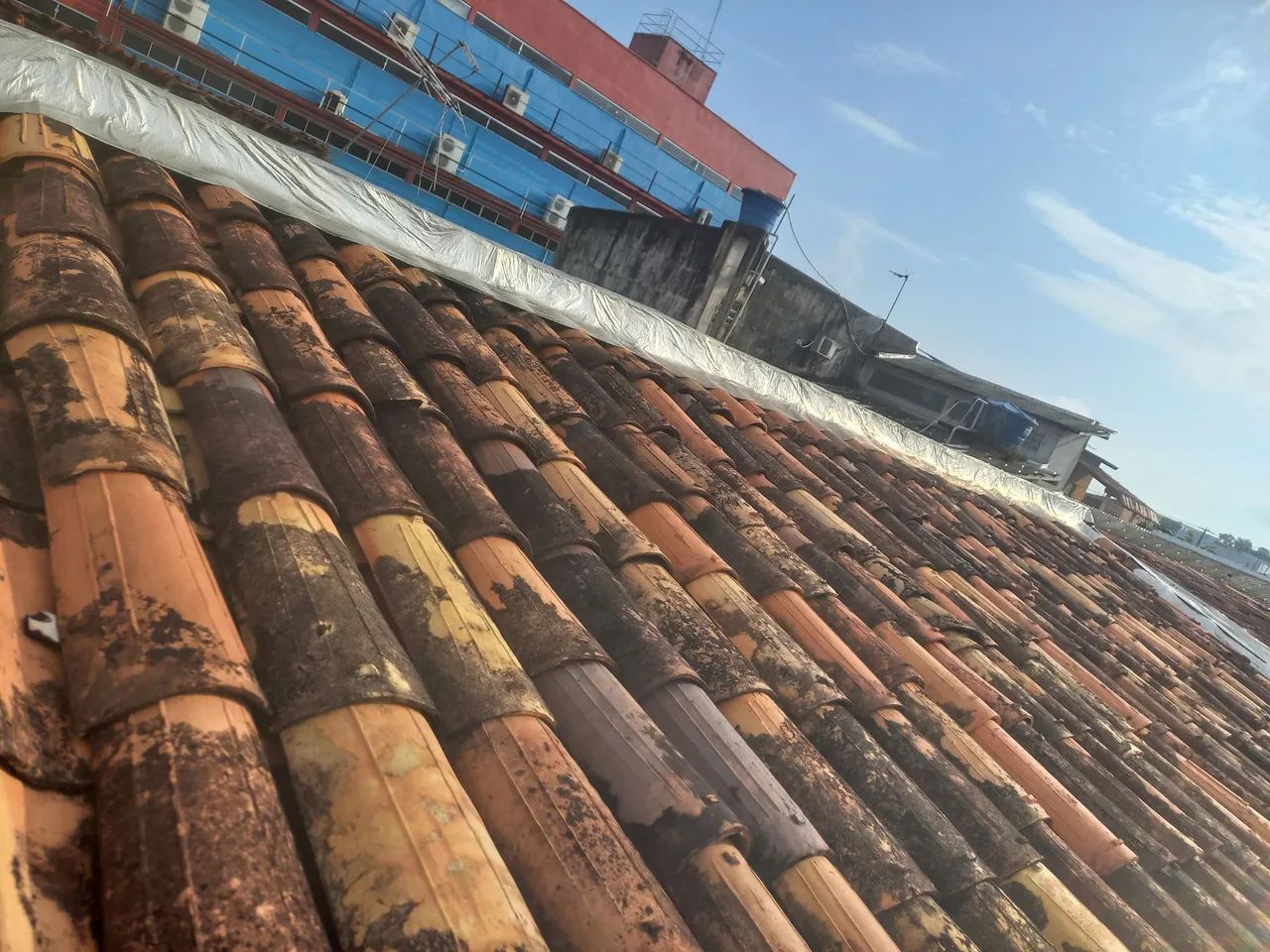 Profissional telhadista 