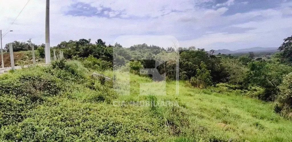 Terreno à venda no Sambaqui - Foto 3