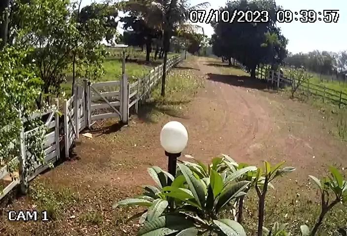 Casal de caseiros para chácara.