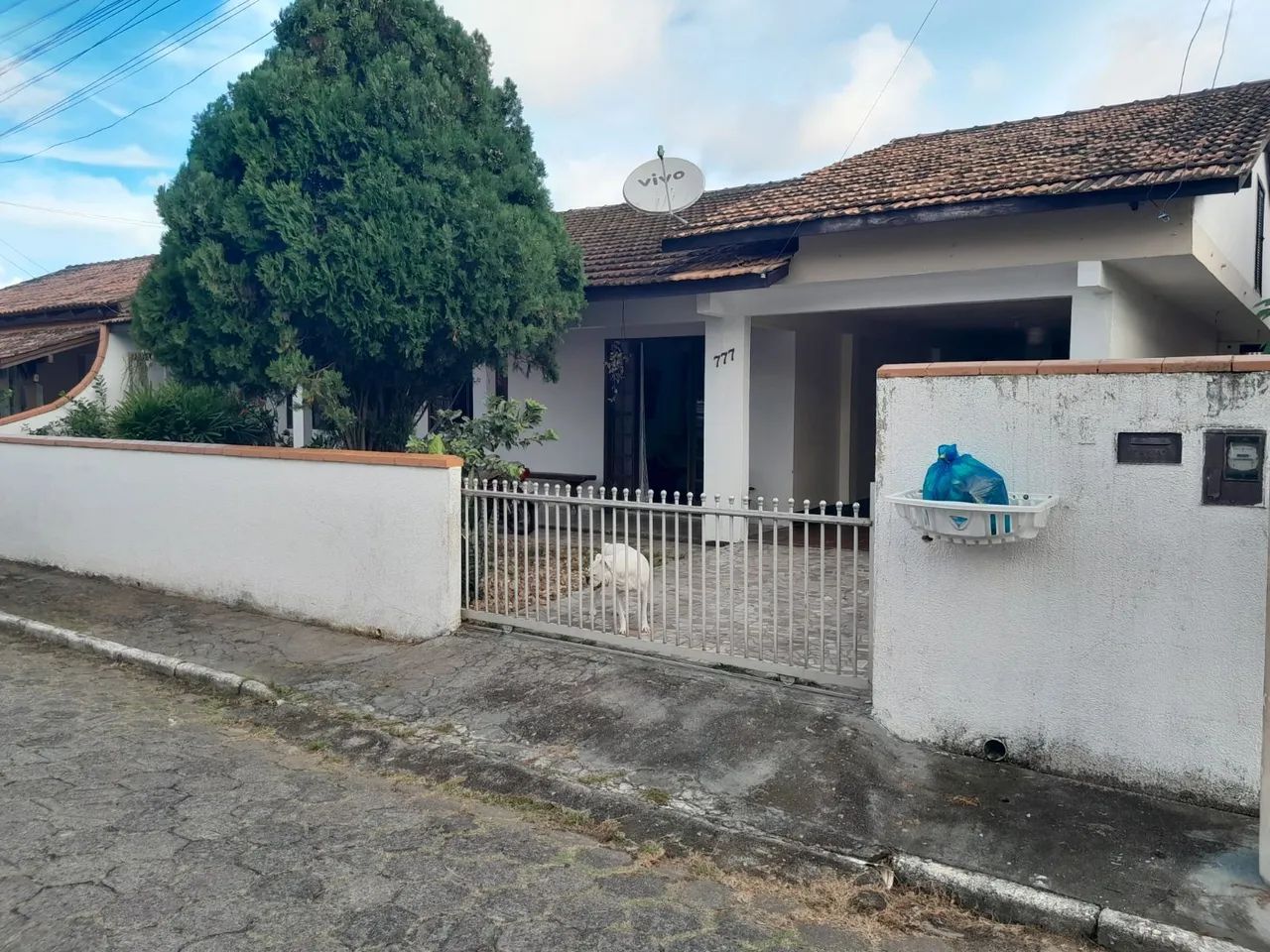 Foto - Navegantes - Gravatá