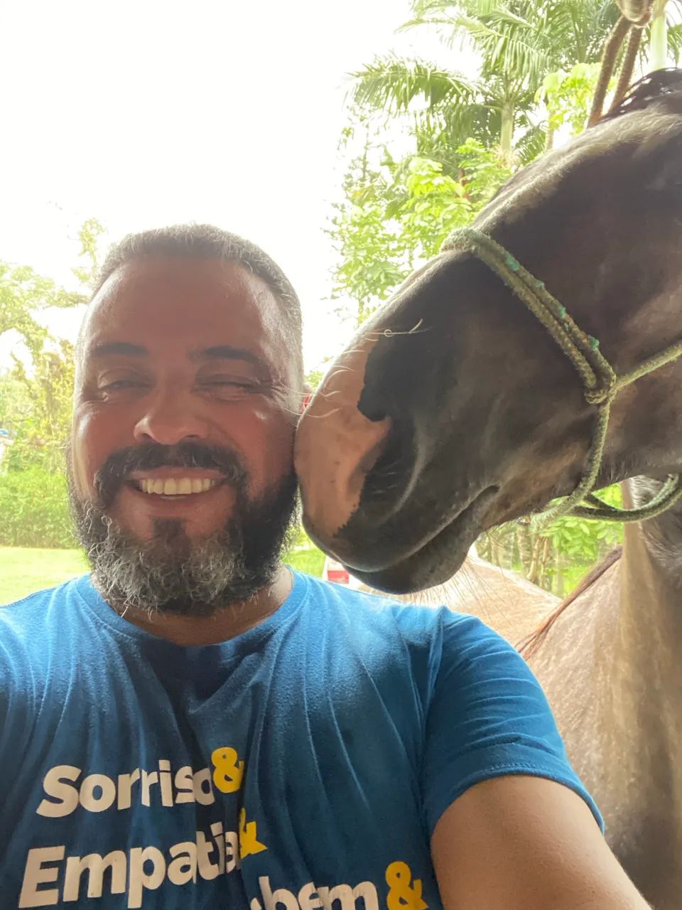 Cavalo Crioulo - Foto 6