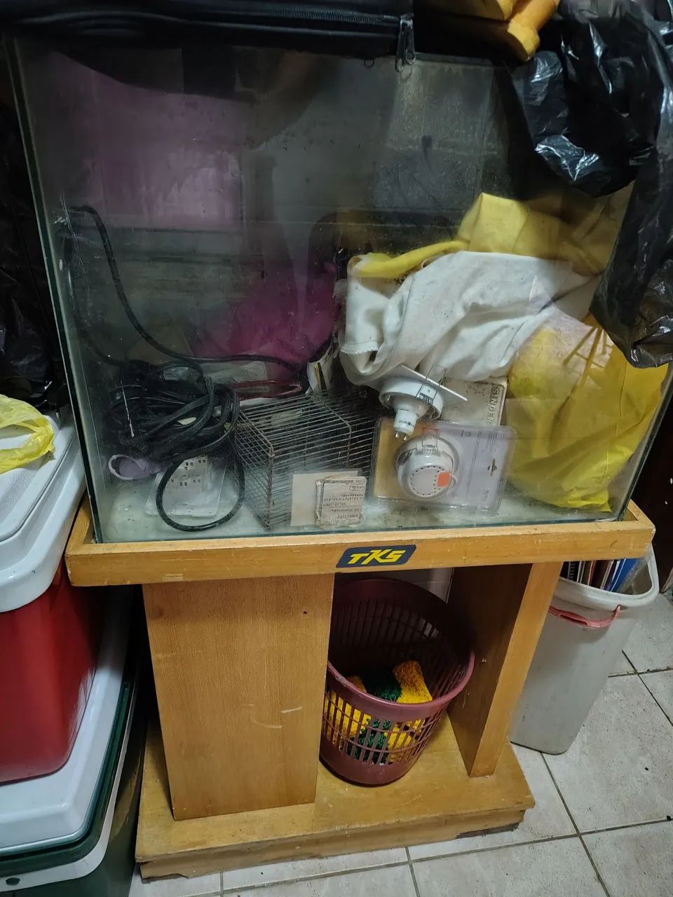 Aquário 