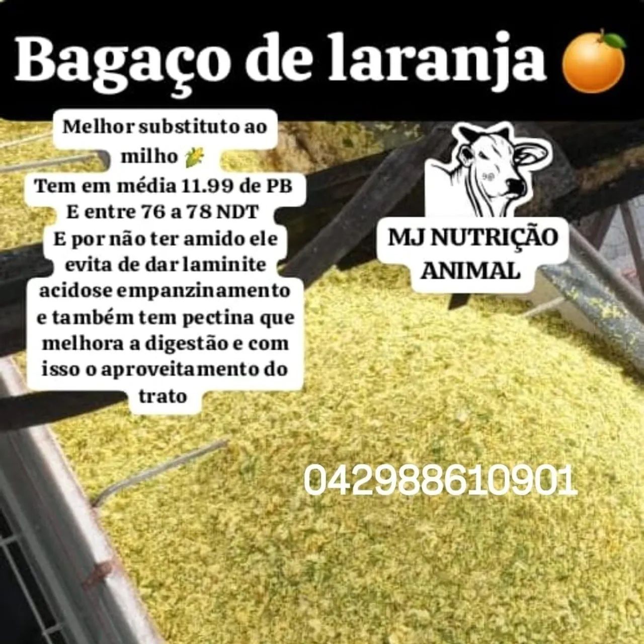 Bagaço de laranja  - Foto 4