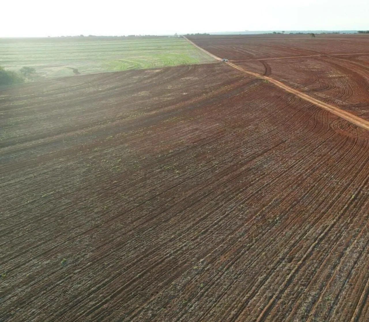 Fazenda com Dívida 989 alqueires em Barra do Garça MT.  - Foto 5