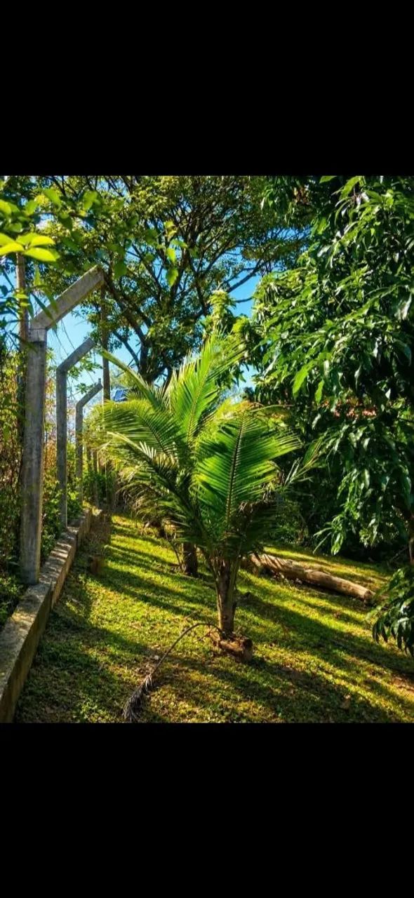 Terreno de Chácara, VIVENDAS BELA VISTA, - Foto 4