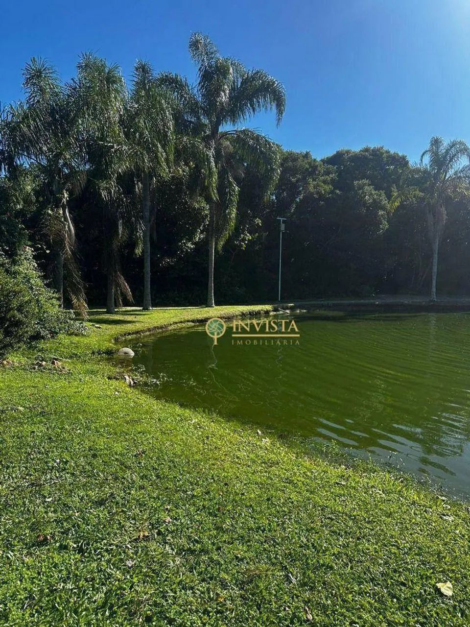 Terreno no Costão Golf em Florianópolis. - Foto 4