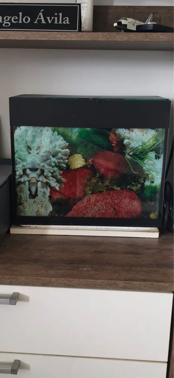 Aquário Completo 21L + Filtro/Bomba + Alimentador Automático