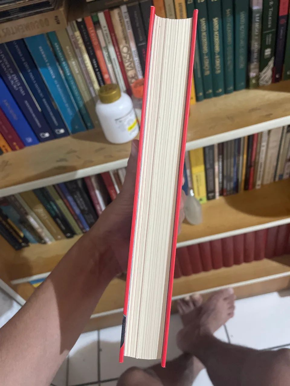 Livro Paraíso perdido  - Foto 4