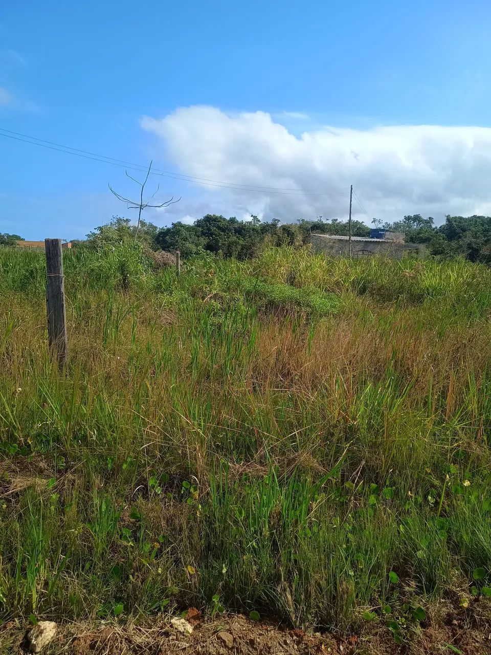 Vende-se terreno em Jaconé 