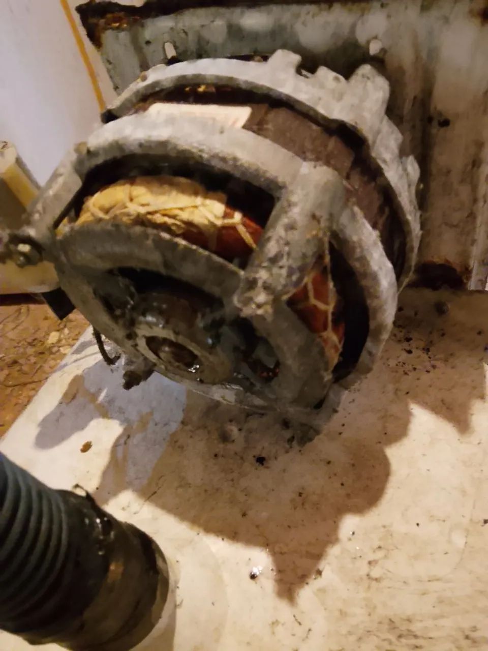 Motor de tanquinho  - Foto 2