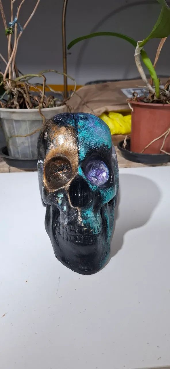Caveira de gesso - Foto 4
