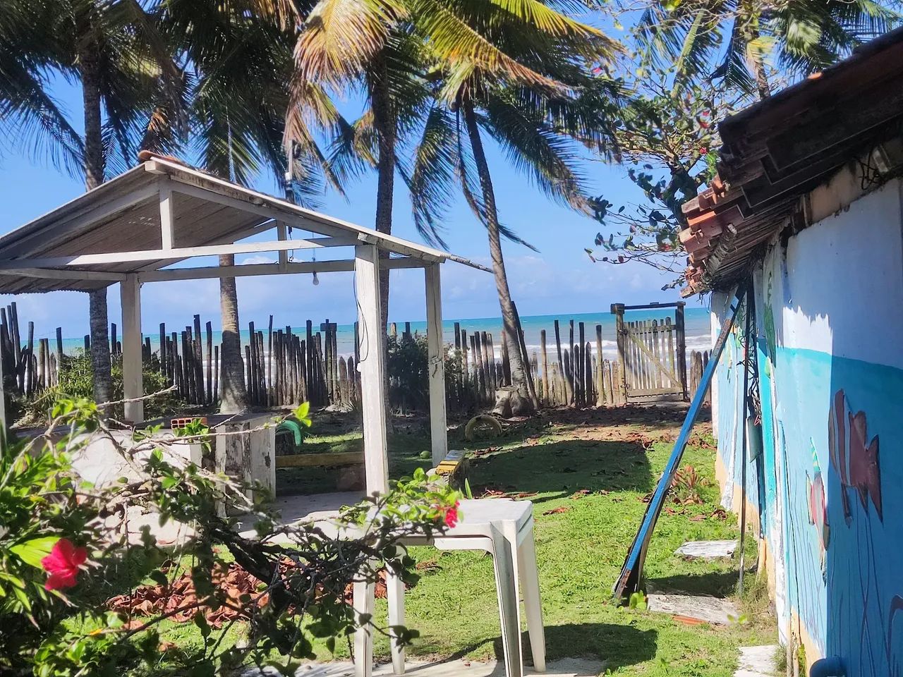 Vendo sítio em ilhéus -Ba zona norte  - Foto 4