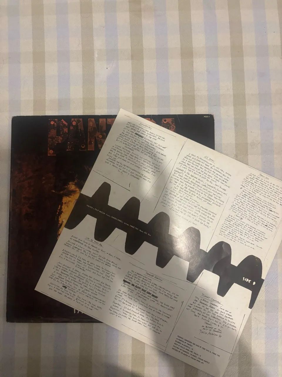 LPs Alice In Chains e Pantera  - Foto 4