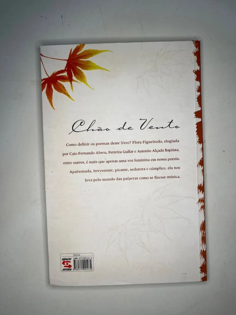 Livro Chão de Vento - Foto 2