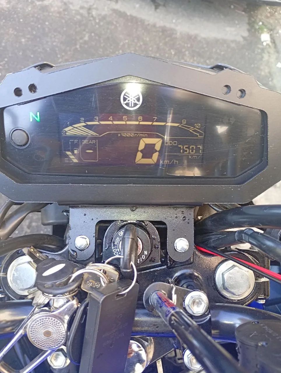 Factor DX 2025 - Foto 3