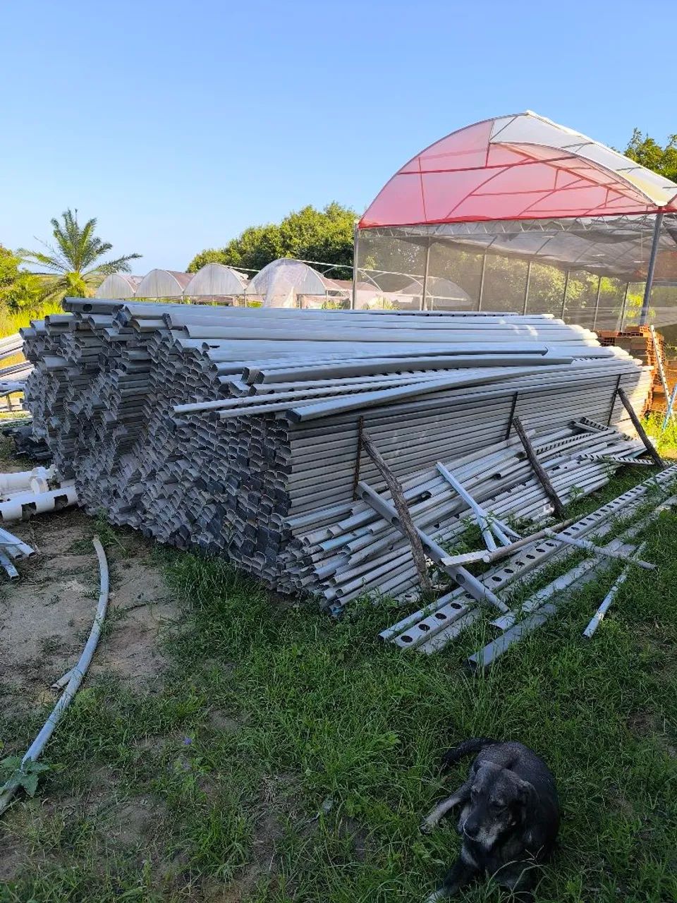 Cano hidroponia  - Foto 2