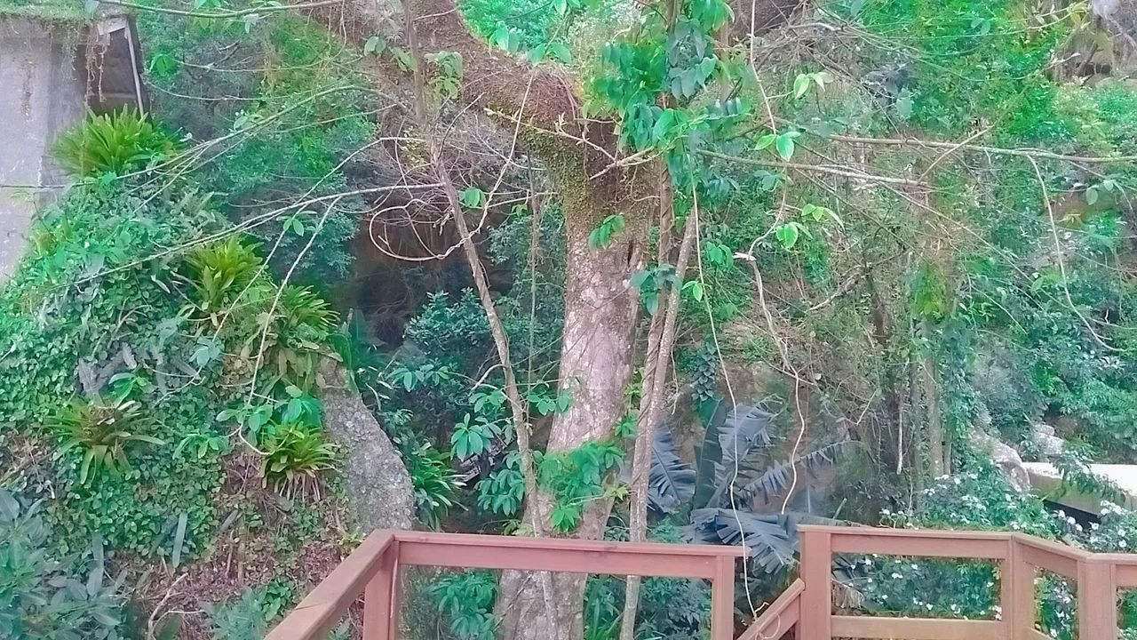 Alugo casa anual na Praia da Solidão Florianópolis SC  - Foto 5