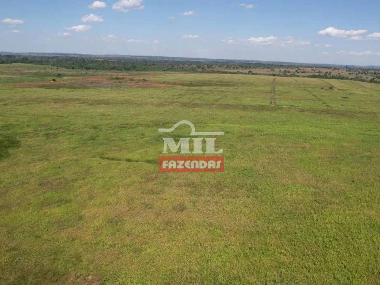 Fazenda 460 Alqueires (2.226 hectares) Xinguara - PA - Foto 4