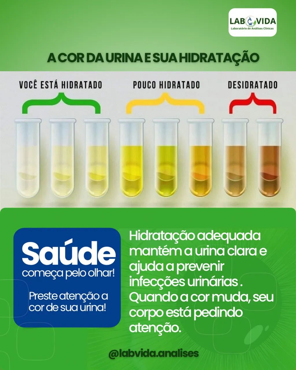 Laboratório de Análises Clínicas  - Foto 2