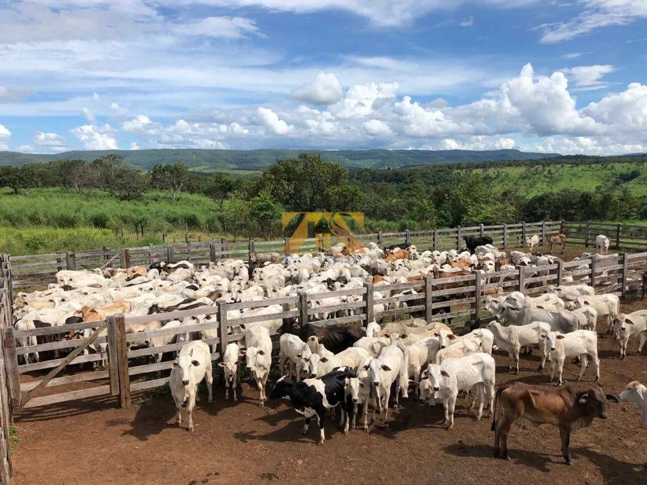 Fazenda, 315 alqueires - Monte do Carmo/TO - Foto 4