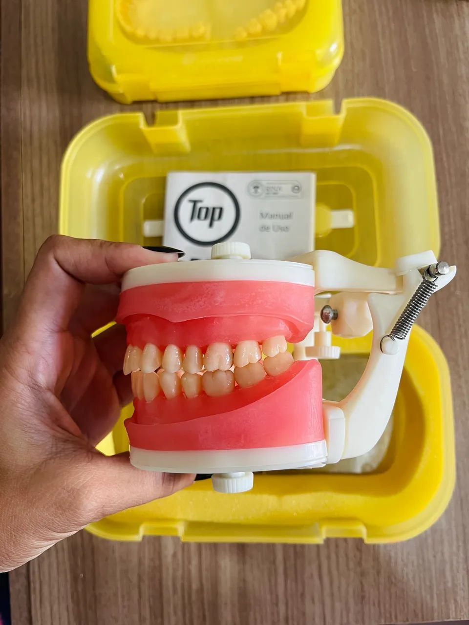 Manequim Odontológico Top Dentística Pd 100 Pronew - Foto 3