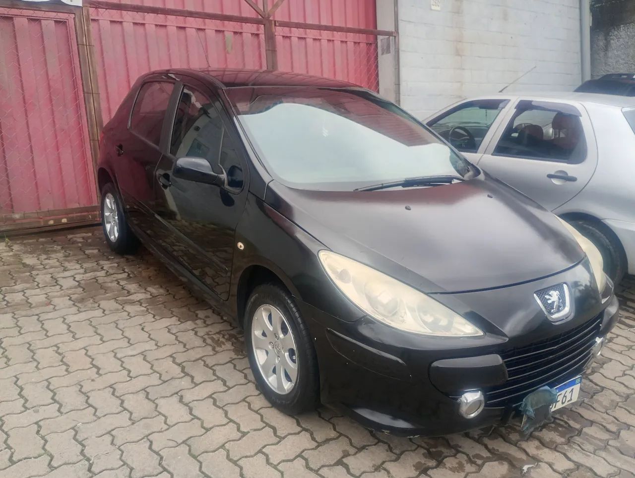 Peugeot 307 307 Feline/Griff/Premi. 2.0 Flex 5p Aut. 2007