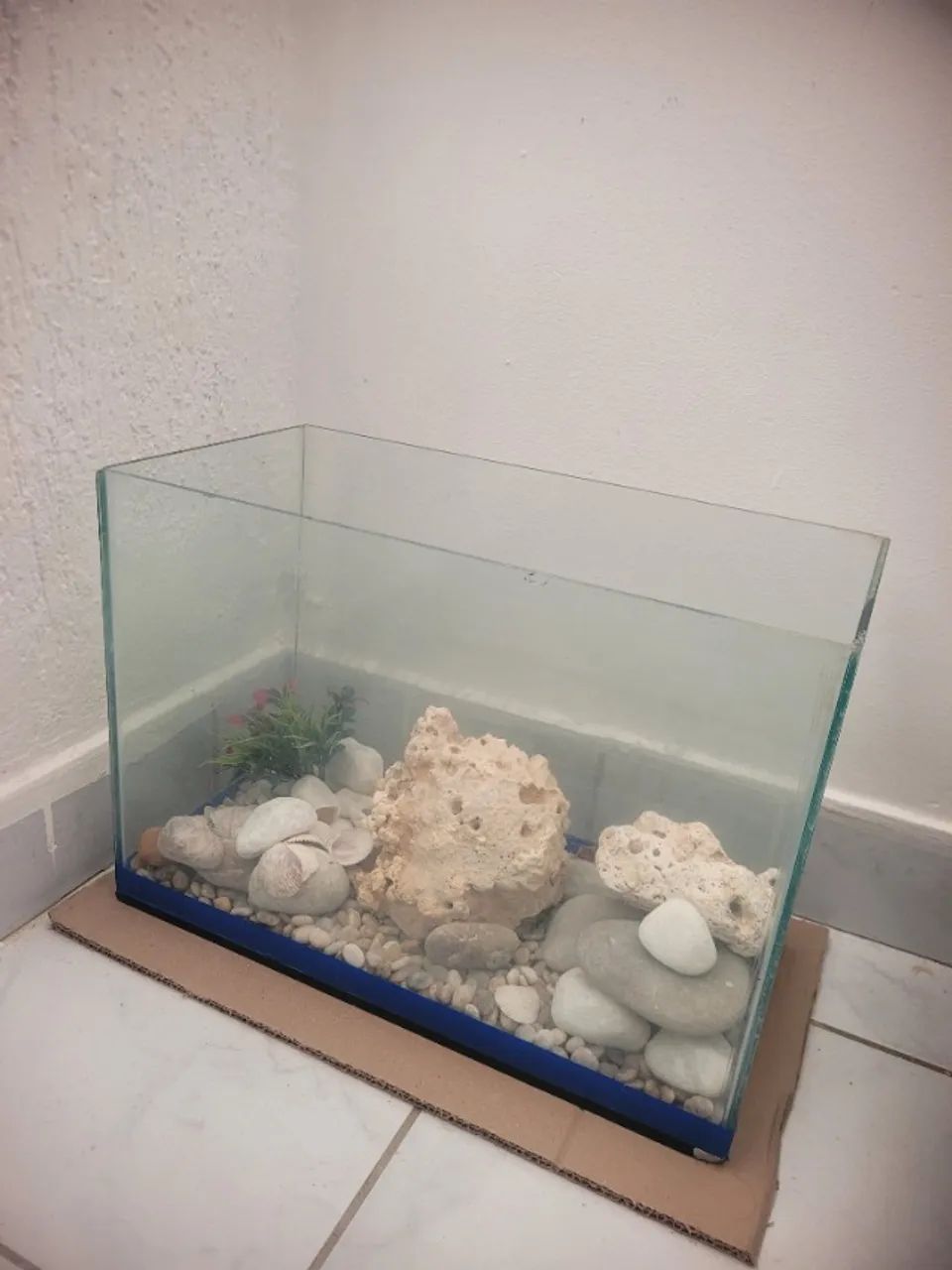 Aquario  - Foto 5