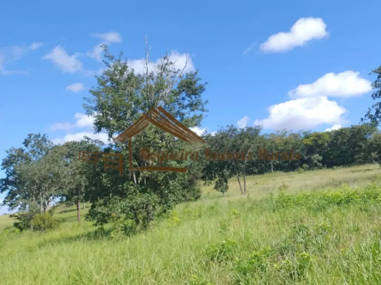 Fazenda com 117 alqueires em Cassilândia-MS - Foto 3