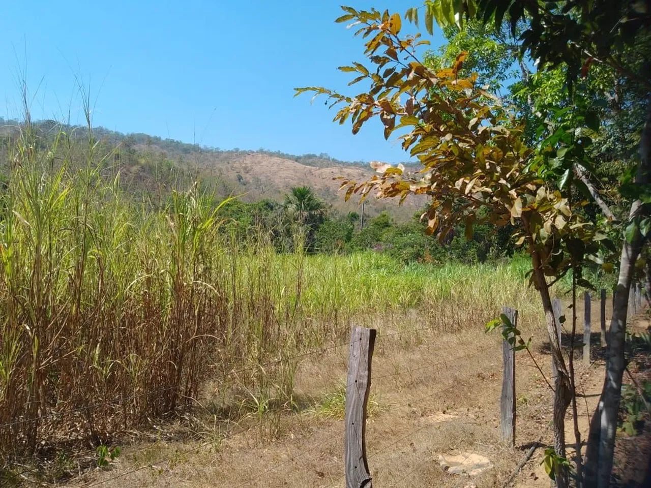 Fazenda em Silvanópolis -86 alqueires - Foto 5