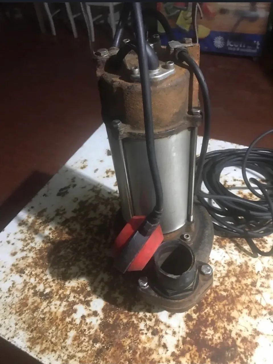 Bomba sapo  - Foto 2