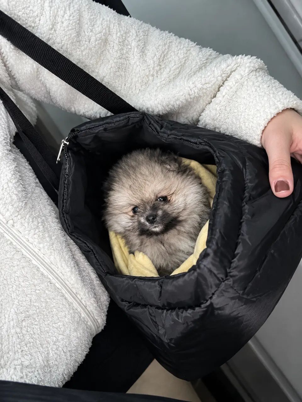 Bolsa para cachorro  - Foto 2