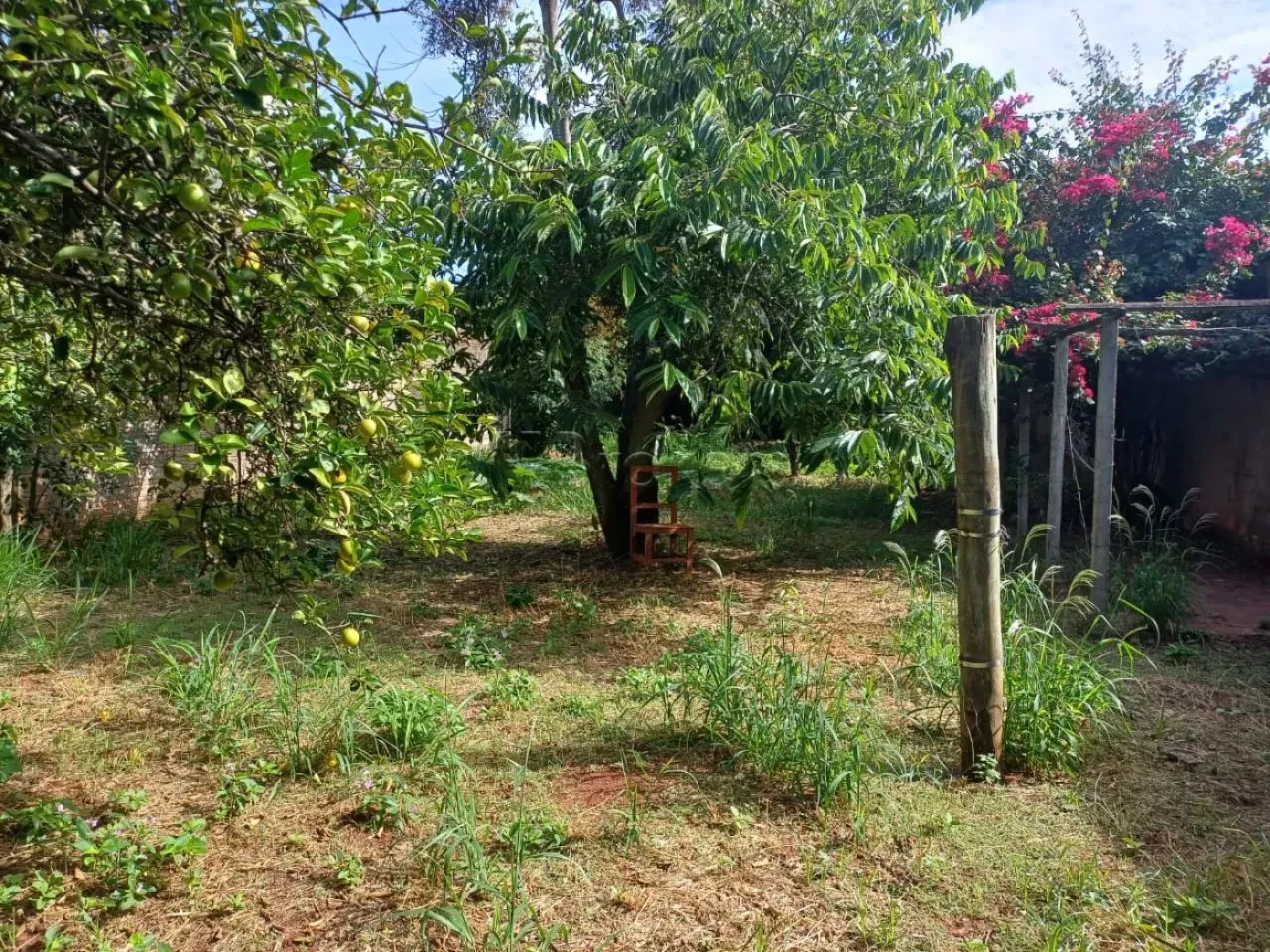 Terreno Padrão em São Manuel - Foto 3