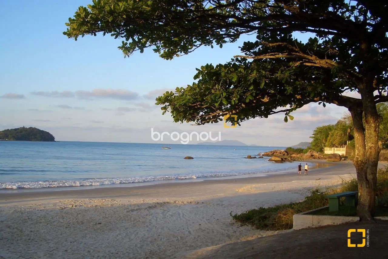 Brognoli Vende - Terreno ótimo com viabiliade construtiva até 3 andares - Foto 4