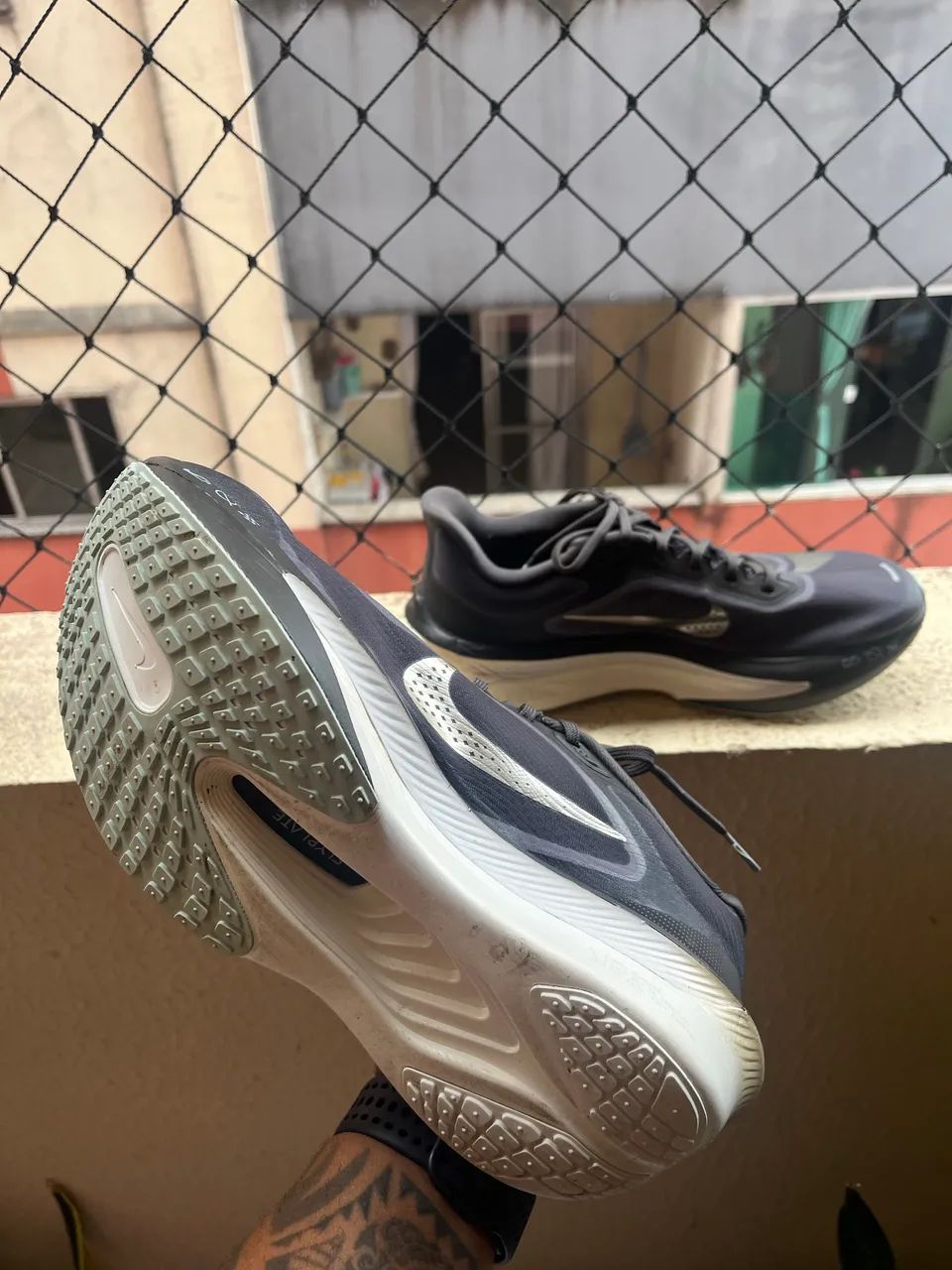 Tenis