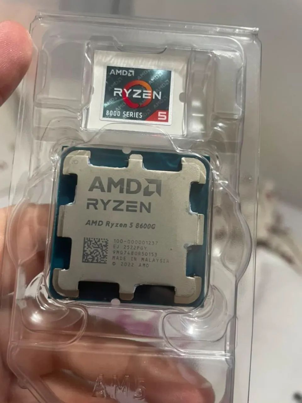 Ryzen 5 8600g AM5