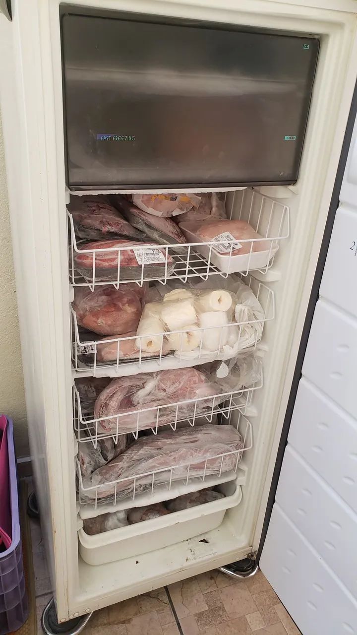 Freezer 220v - Foto 4