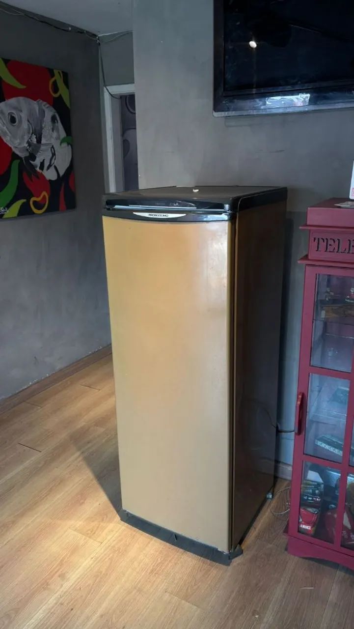 Freezer vertical 