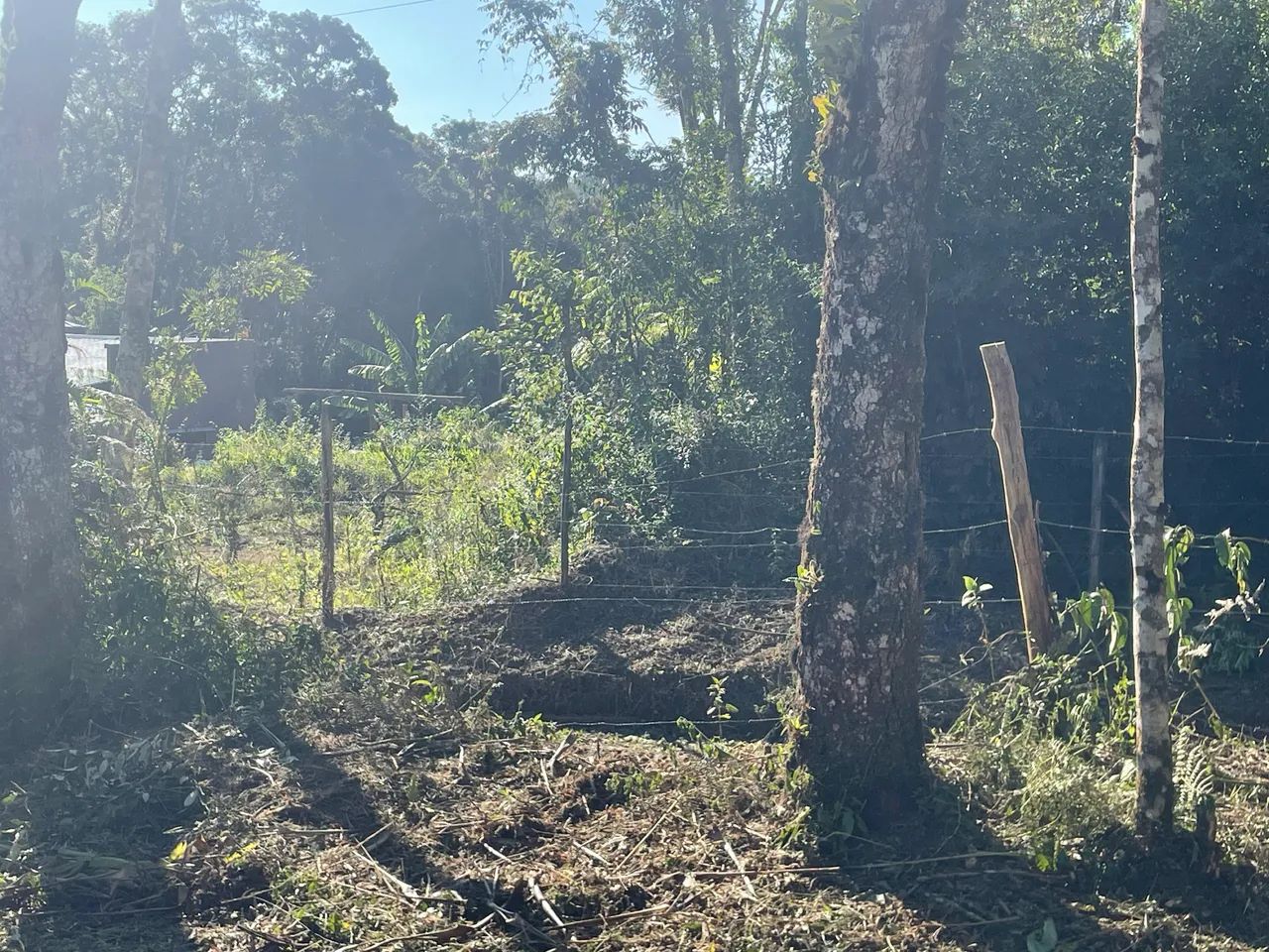 Terreno em Ibiúna  - Foto 4